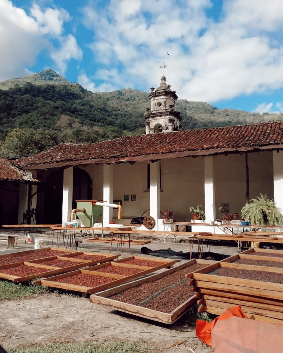 Roaster's Reserve Mexico Finca Coyametla