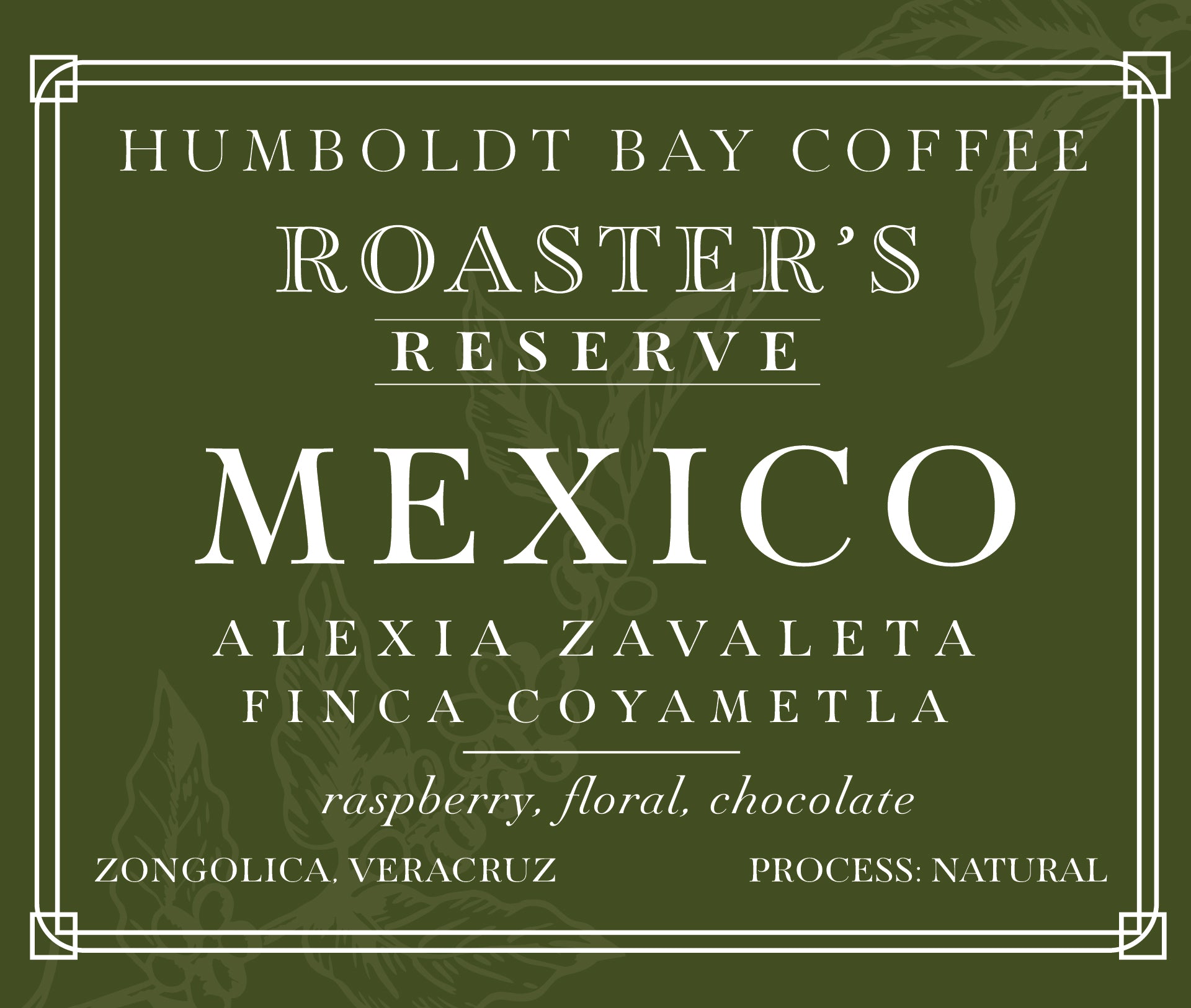 Roaster's Reserve Mexico Finca Coyametla
