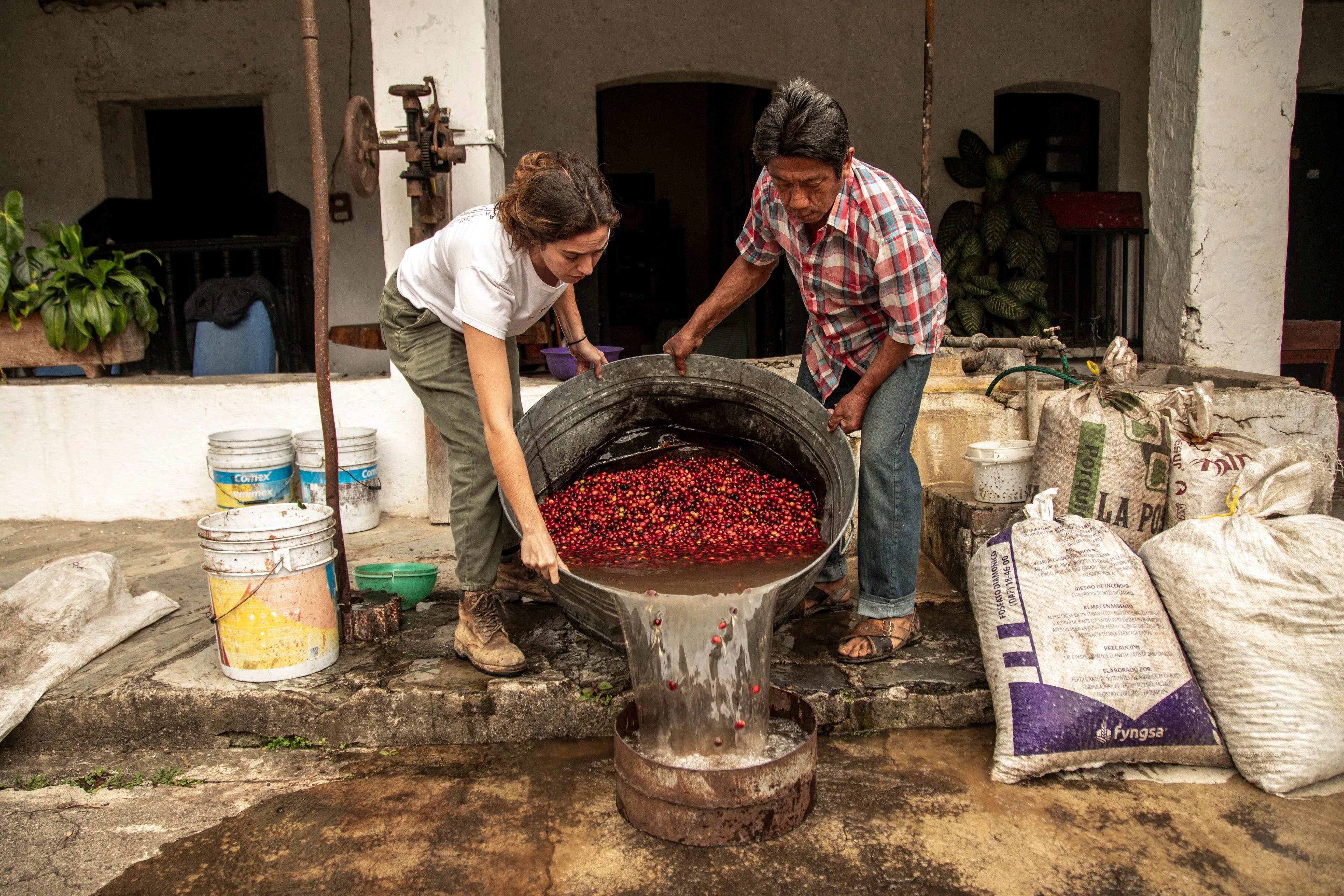 Roaster's Reserve Mexico Finca Coyametla